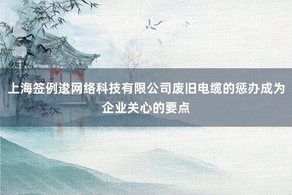 上海签例逡网络科技有限公司废旧电缆的惩办成为企业关心的要点