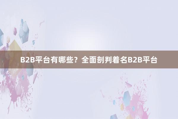 B2B平台有哪些？全面剖判着名B2B平台